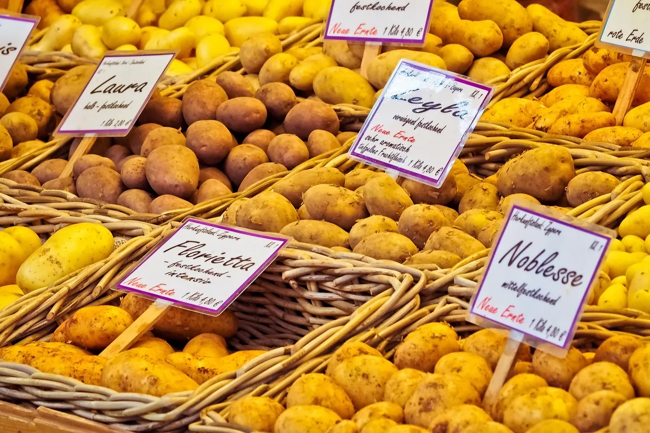 Your First Grocery Trip Abroad on a Restricted Diet: A Step-by-Step Plan