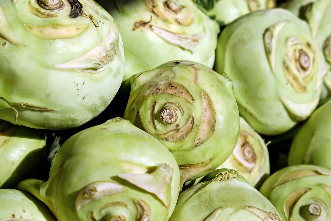 Verborgen dierlijke ingrediënten in Duits eten (gelatine, spek)