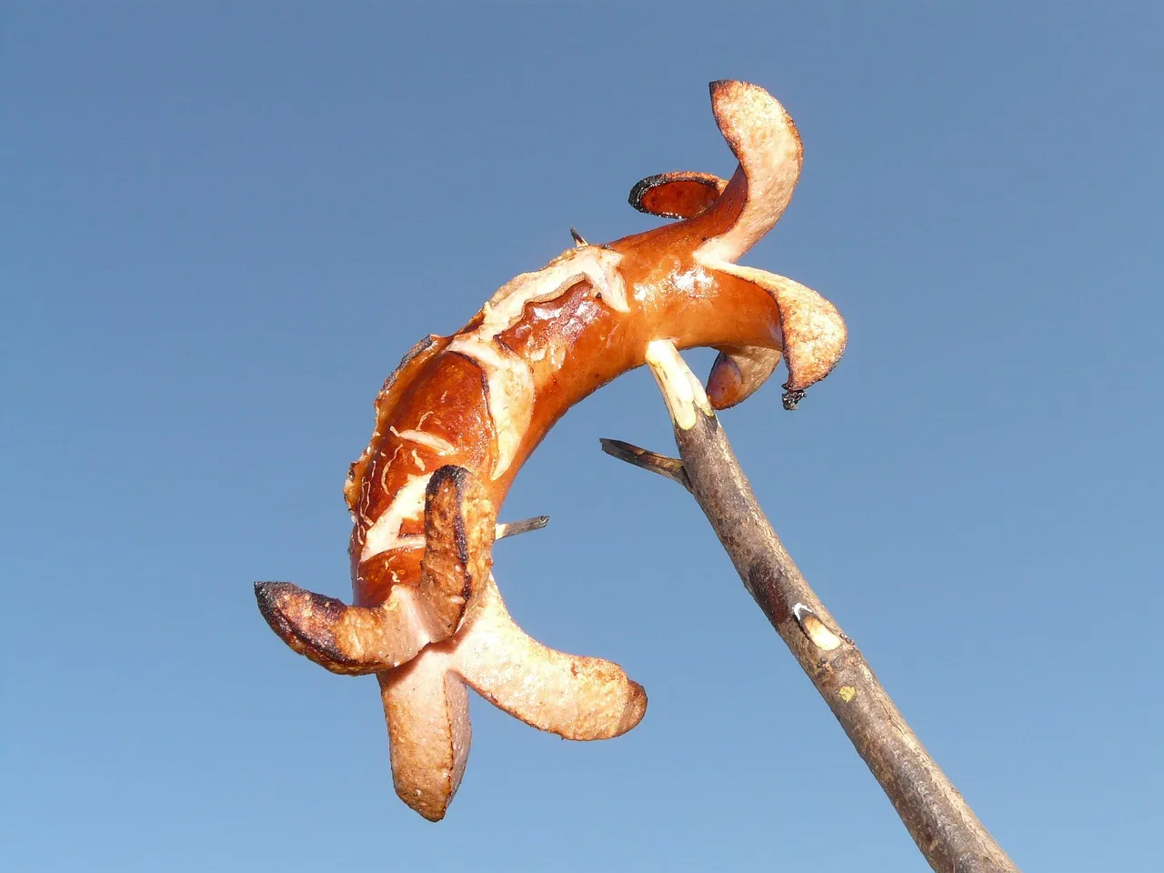 Ist Bratwurst vegetarisch? (Wurst, erklärt)