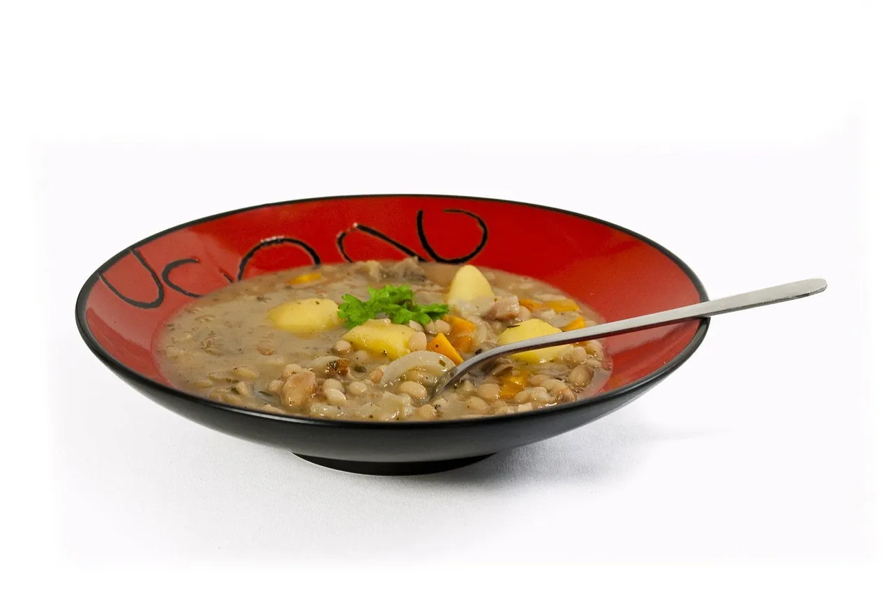 Is Feijoada Vegetarian? (Pork & Beef Stew)