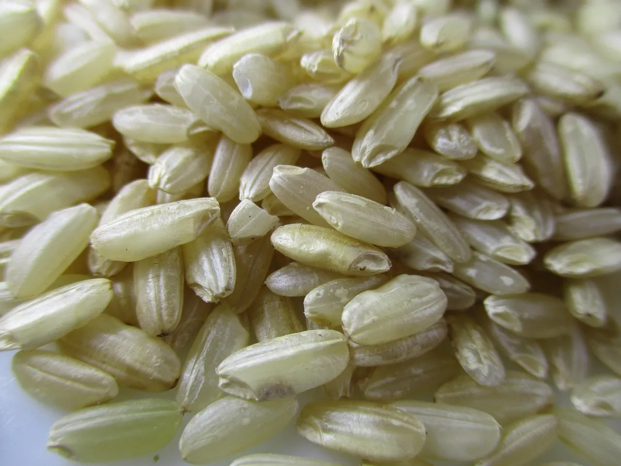 Is Risotto Vegetarian or Vegan? (Stock, Butter & Parmesan)