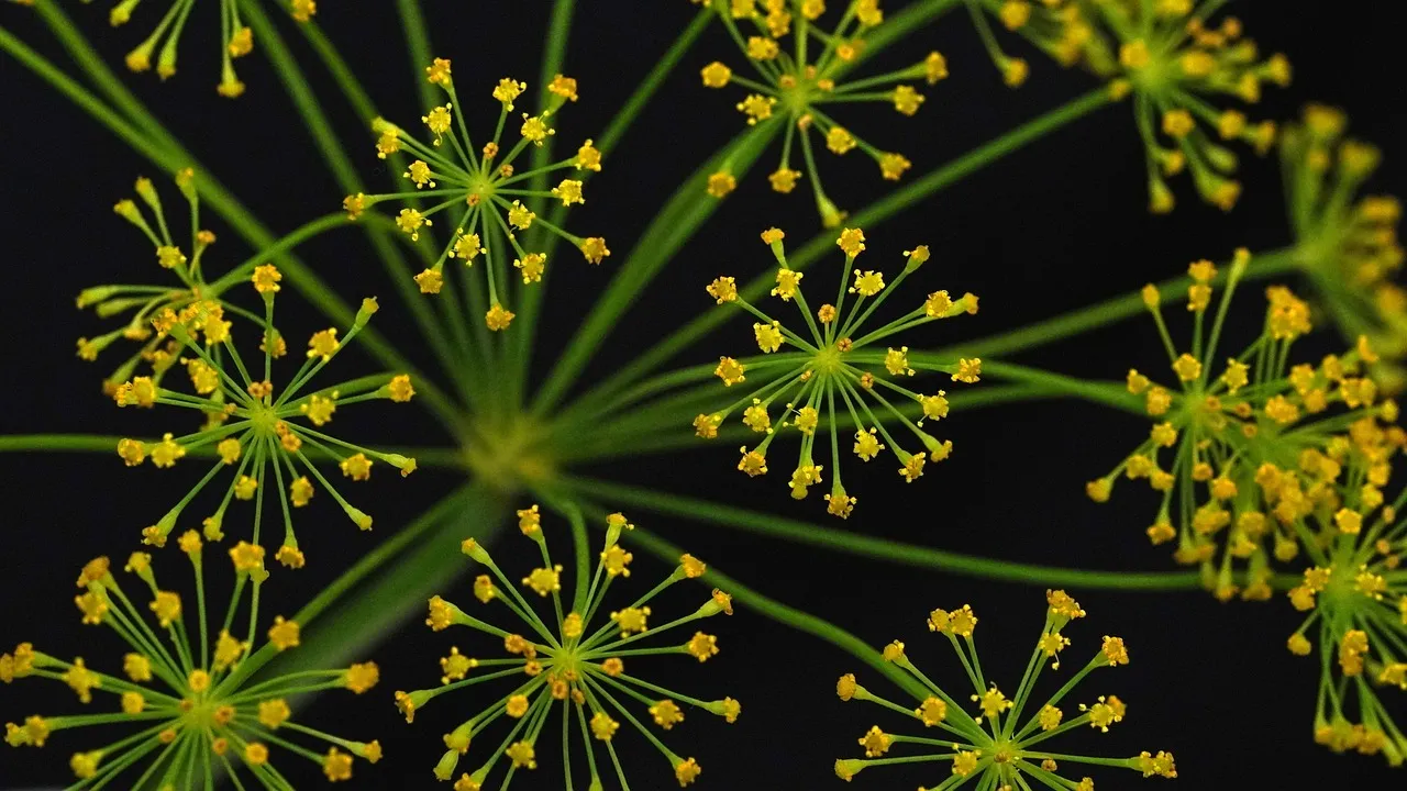 Are 'Natural Flavors' Vegan? They Can Hide Animal Products
