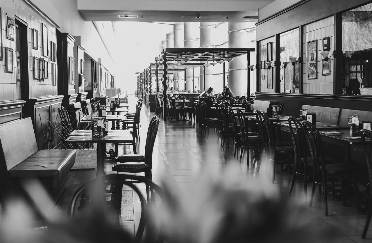Vegan and Halal Meals at Airports: A Survival Guide