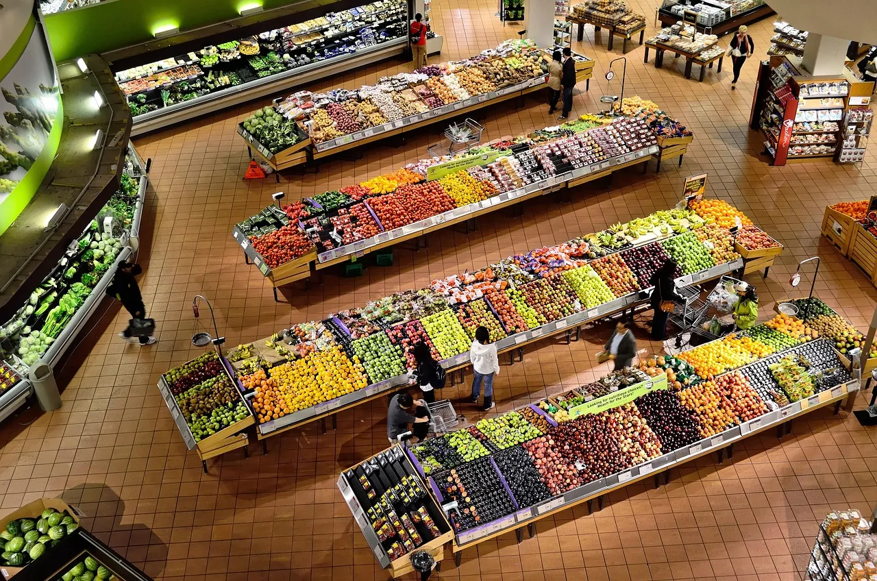 Vegan at Aldi and Lidl (Germany): What to Buy and What to Scan